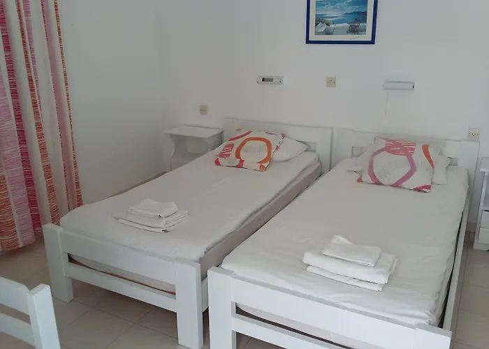 招待所 Galanis Place